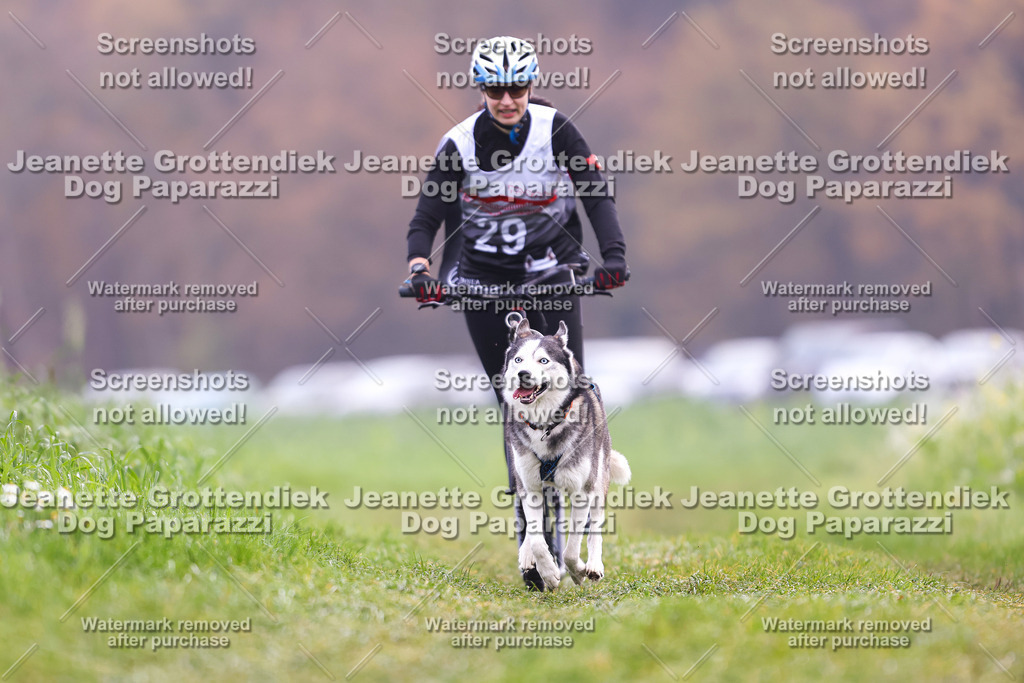 Dog Paparazzi - Visbeck 25 -302 | Dog Paparazzi Jeanette Grottendiek Fotografie & Videografie - Realisiert mit Pictrs.com