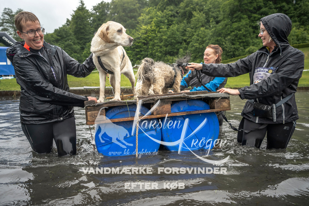 1554_ZZ95607-2 | kk-dogfotos