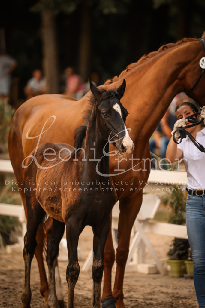 SaPA00288 | Leoni Ertmer Photography - Realisiert mit Pictrs.com