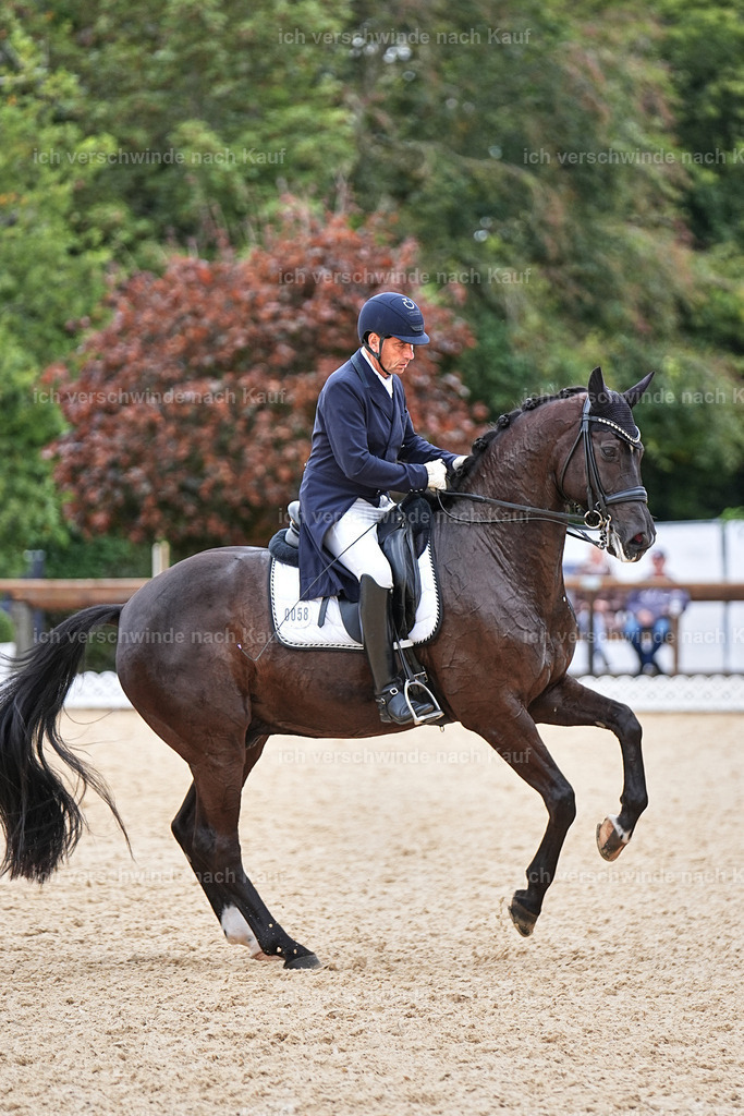11-058-Dressur S___-Marixx-1487 | working equitationturnier fotograf videograf stoibphotography marixx film working equitation deutschland reitsport turnierfotografie eventfotografie equestrian events