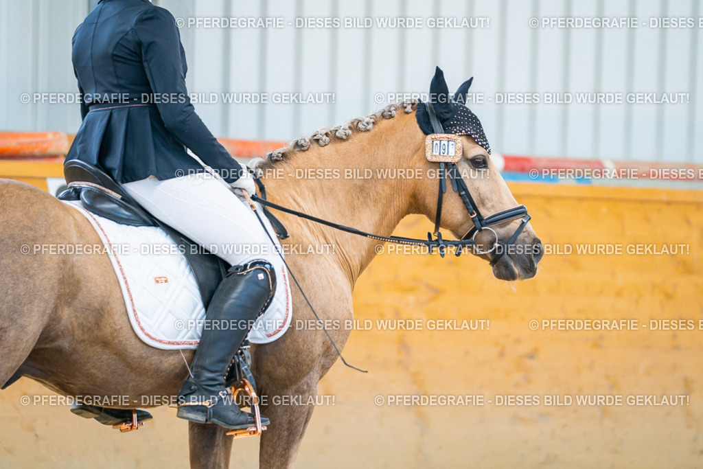 DSC07696 | Pferdegrafie