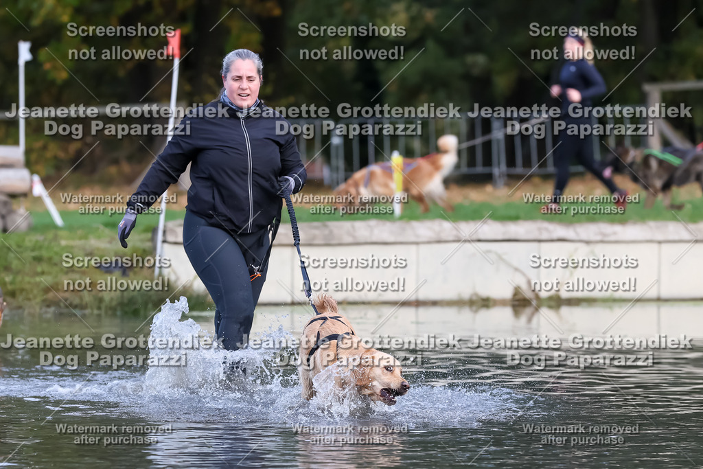 Dog Paparazzi - Strongdog 10-25-6959 | Dog Paparazzi Jeanette Grottendiek Fotografie & Videografie - Realisiert mit Pictrs.com