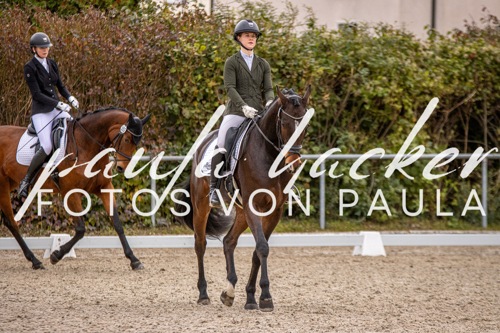 IMG_2900 | Erleben Sie dynamische Sport- und emotionale Tierfotografie in Süddeutschland mit Fotos von Paula. Spezialisiert auf Pferde- und Hundefotografie sowie Sportevents. Kontaktieren Sie mich für einzigartige und ausdrucksstarke Bilder Ihrer besonderen Momente.
