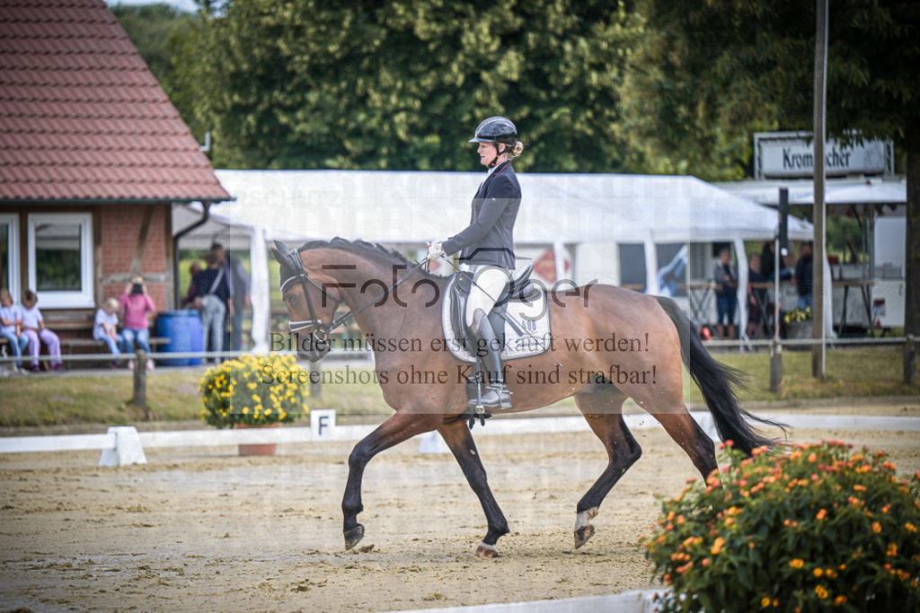 DOS_8651 | Entdecke hochwertige Reitturnierfotos von Foto Oger. Professionell, emotional und authentisch – jetzt Lieblingsmomente im Shop bestellen.Deutschlandweite Turnierfotografie. - Realisiert mit Pictrs.com