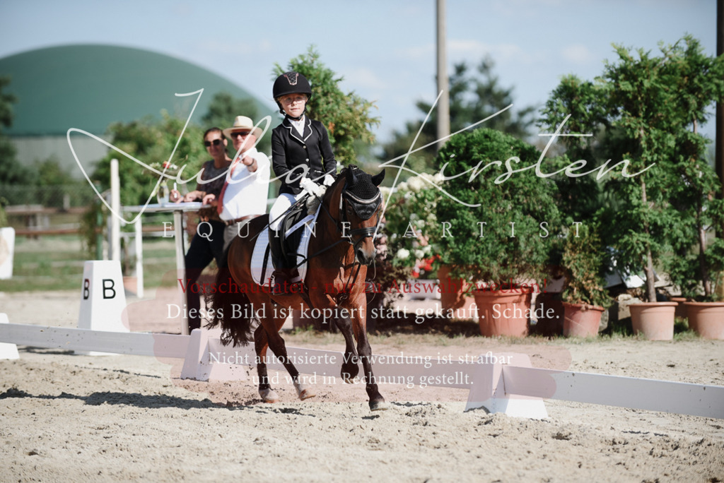 DSC_0158 | Pferde- und Turnierfotografie in Westsachsen. Pferdeportraits, Auftragszeichnungen und intuitive Kunst.
