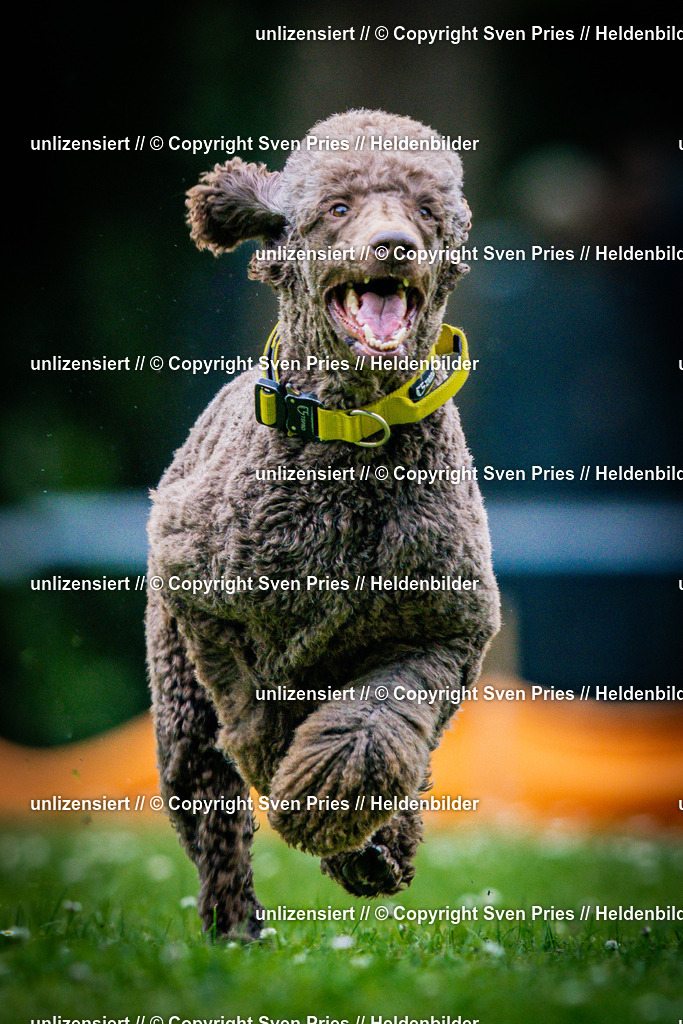 Sven Pries | 2025-05-29 - Pudelrennen KA-Durlach - Realisiert mit Pictrs.com