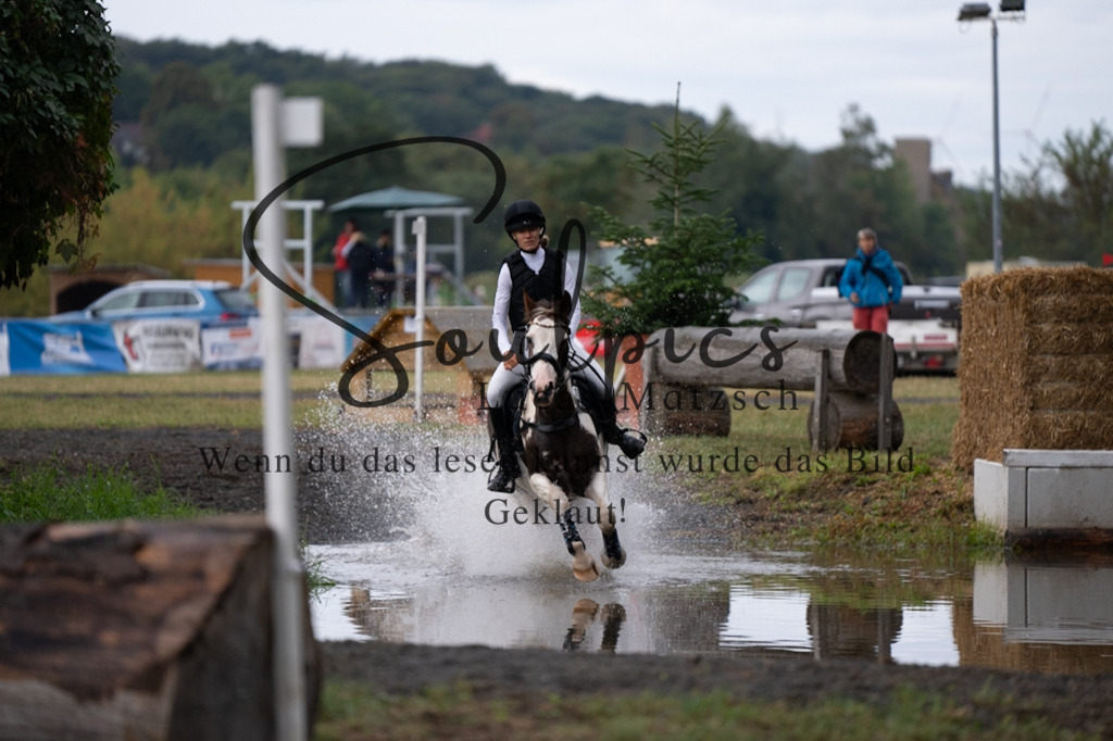 A7V00107 | Pferdefotograf