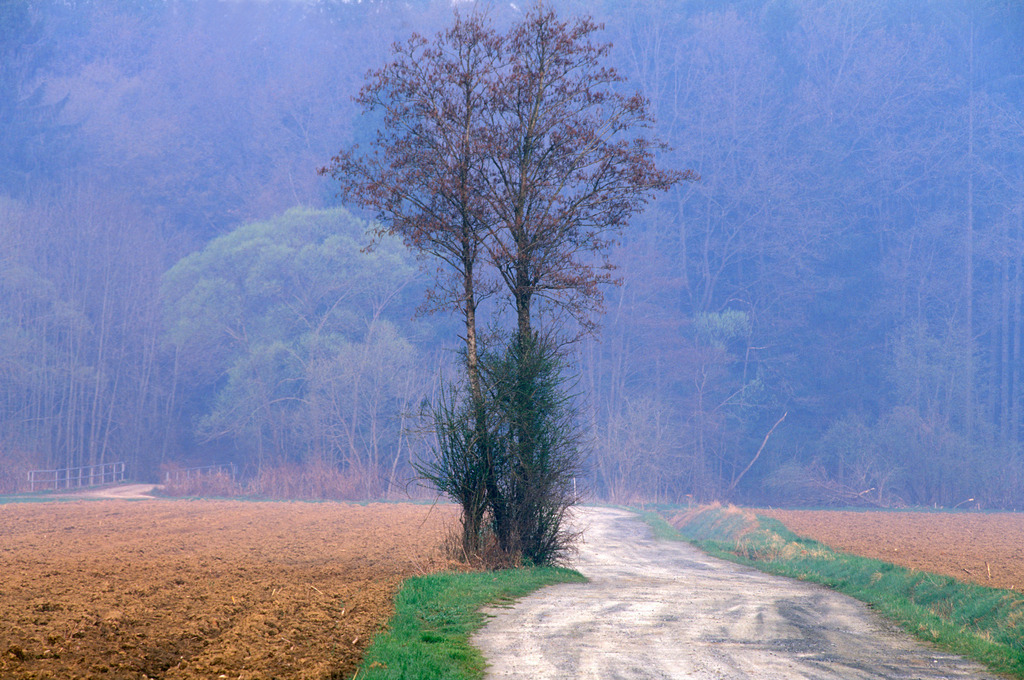 Weg durch eine Ackerlandschaft | Austria: Weg durch eine Ackerlandschaft. - Realisiert mit Pictrs.com