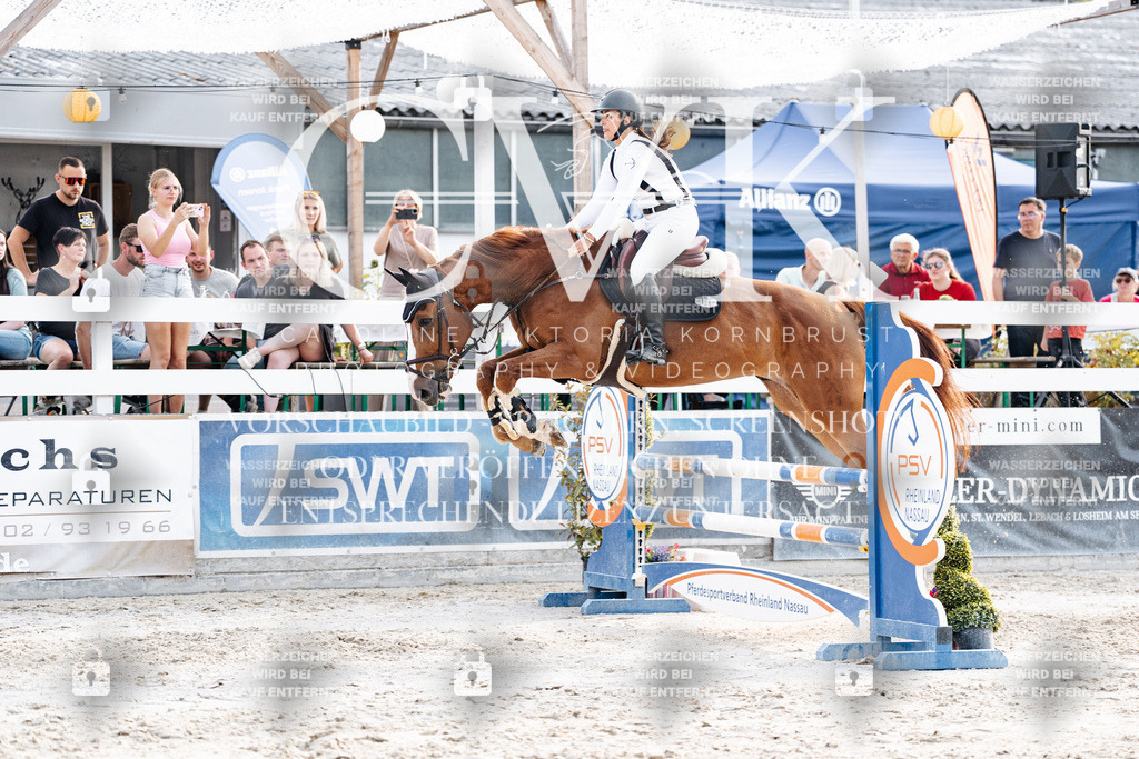 CK906950 | Turnierfotografie Pferdefotografie Trier Rheinland-Pfalz Pferdesport Reitsport Tierfotografie Sportfotografie Pferdevideo Pferdevideografie Equestrianvideography equestrianphotography  - Realisiert mit Pictrs.com