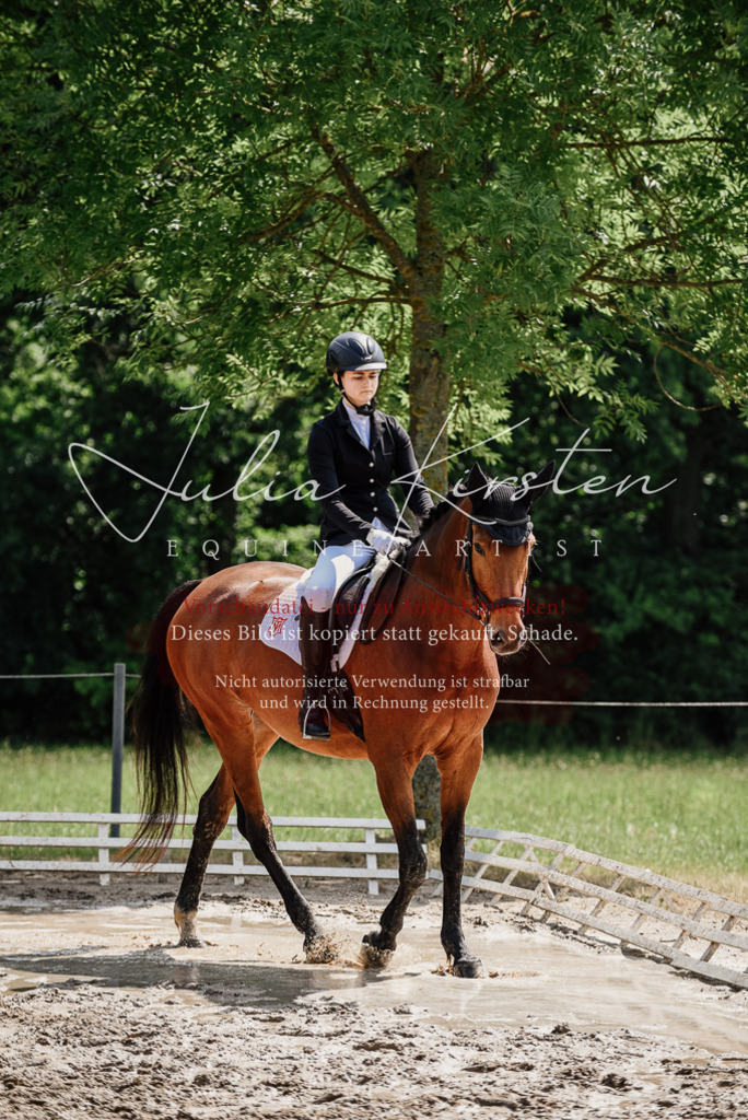 DSC_0959 | Pferde- und Turnierfotografie in Westsachsen. Pferdeportraits, Auftragszeichnungen und intuitive Kunst.