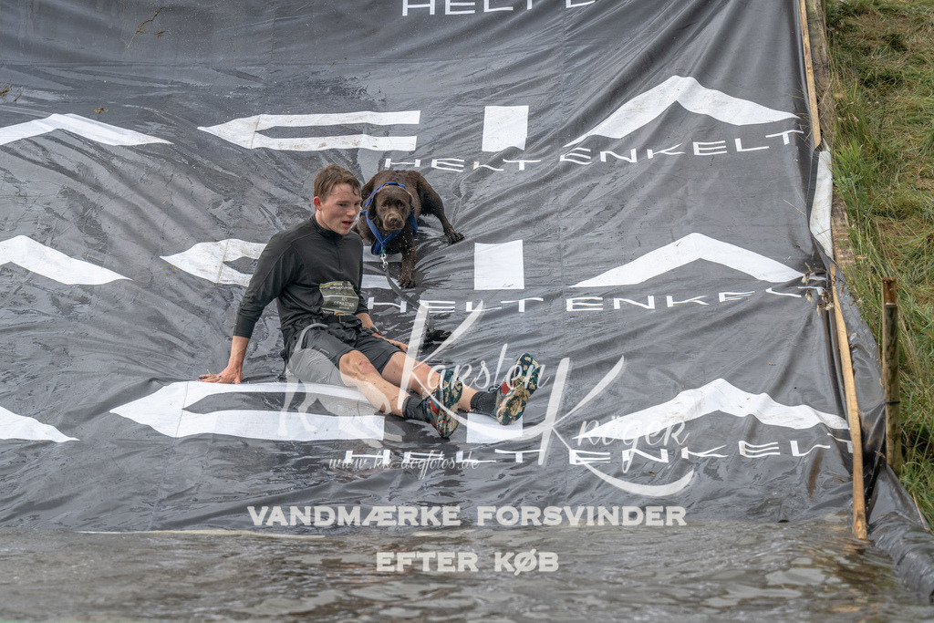 1153_ZZ93871 | kk-dogfotos