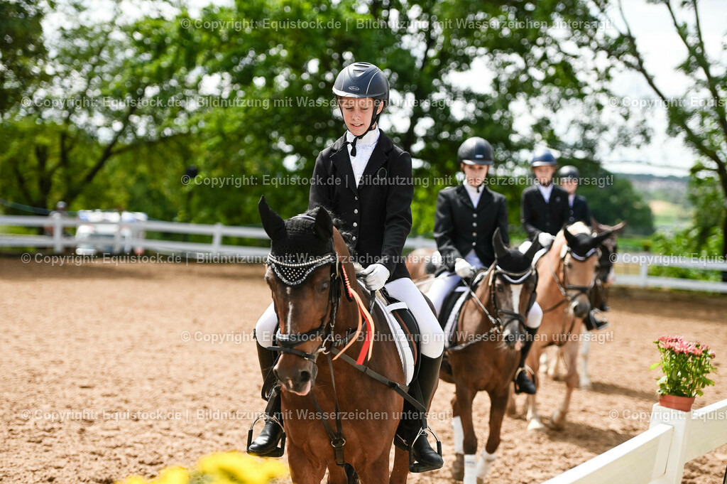 20230716_10-2_Reiter-WB Schritt - Trab - Galopp_0213 | equistock