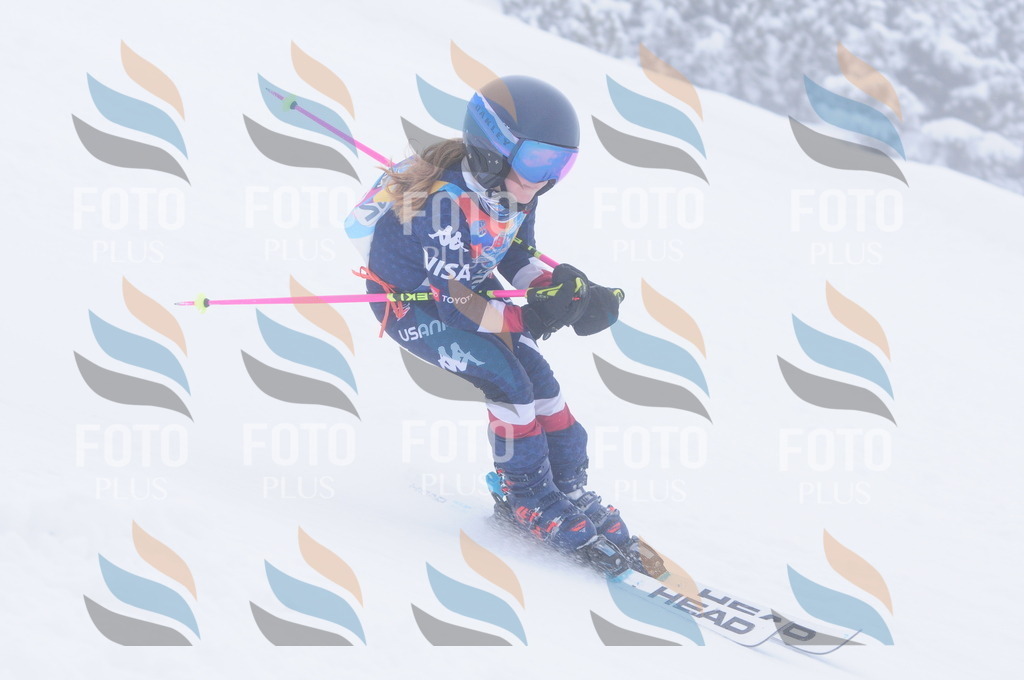 C2754 | holidayphoto