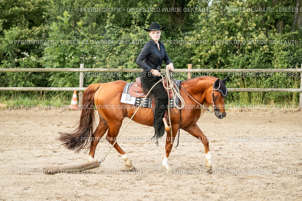 DSC06024 | Pferdegrafie