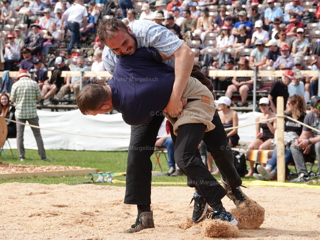 DSC07413 | Schwingen - Realisiert mit Pictrs.com
