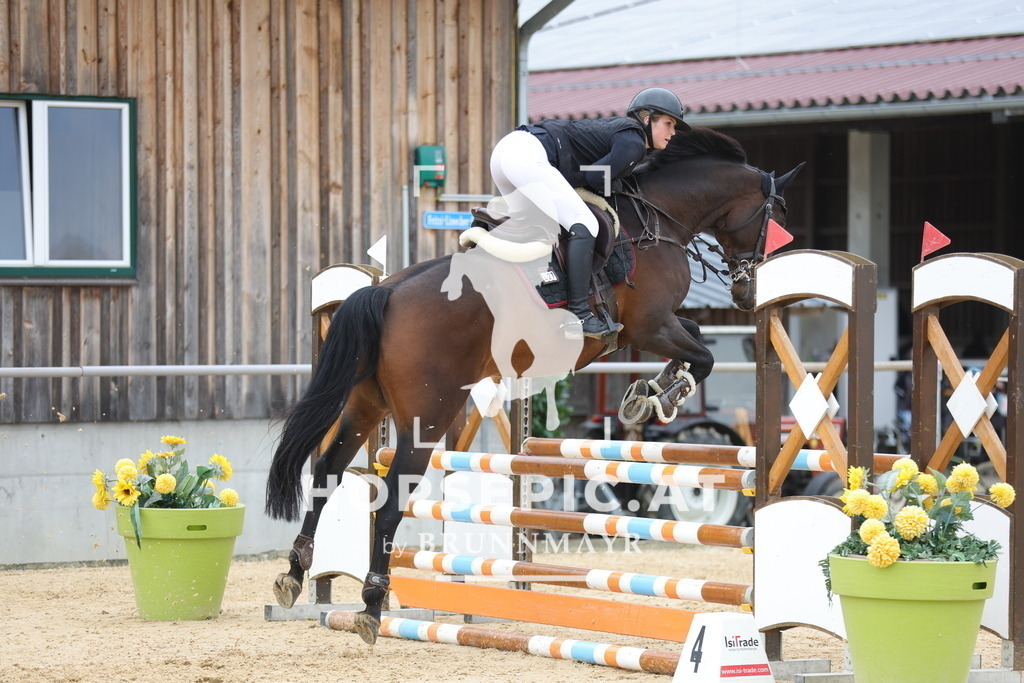 0P6A2754 | Willkommen bei Brunnmayr - Design & Fotografie – Ihrem Spezialisten für Reitturniere und Pferdeveranstaltungen in Oberösterreich, Salzburg und Bayern! Seit über 17 Jahren sind wir leidenschaftlich dabei.