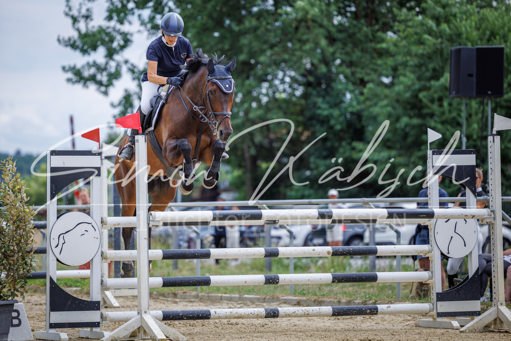 20260705-_3LI6513 | Tierfotografie Pferde, Hunde, Katzen, Haustiere.
Turnierfotografie Reitturniere, Reiten, Springreiten, Dressur in Hanau, dem Main-Kinzig-Kreis und dem Rhein-Main- Gebiet um Frankfurt