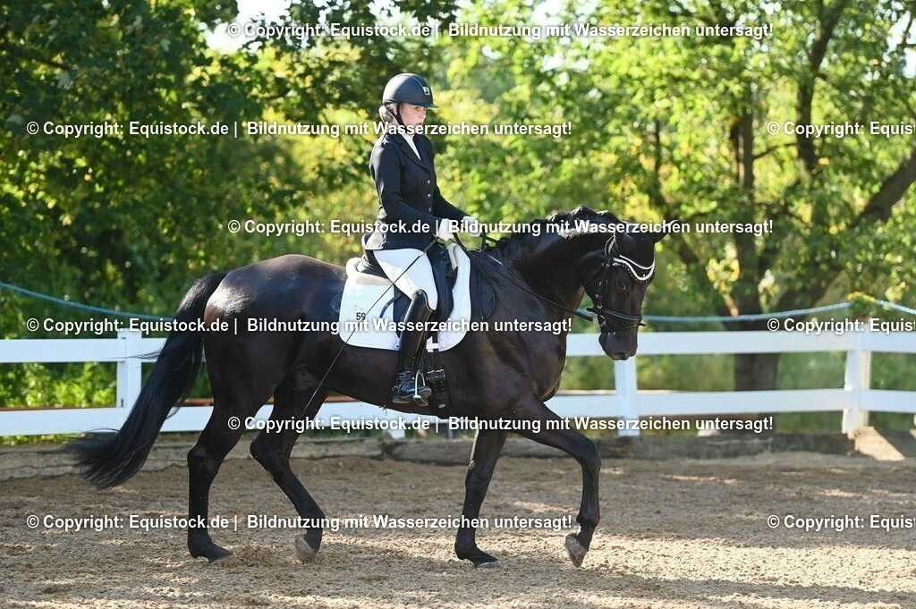 20230715_06_Dressurpferdeprfg. Kl.A_0083 | equistock