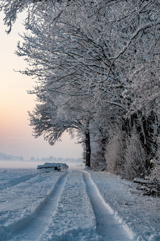 Winterwege | viertelphoto - Realisiert mit Pictrs.com