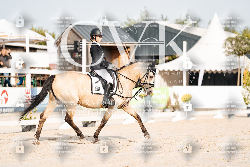 CK904188 | Turnierfotografie Pferdefotografie Trier Rheinland-Pfalz Pferdesport Reitsport Tierfotografie Sportfotografie Pferdevideo Pferdevideografie Equestrianvideography equestrianphotography  - Realisiert mit Pictrs.com