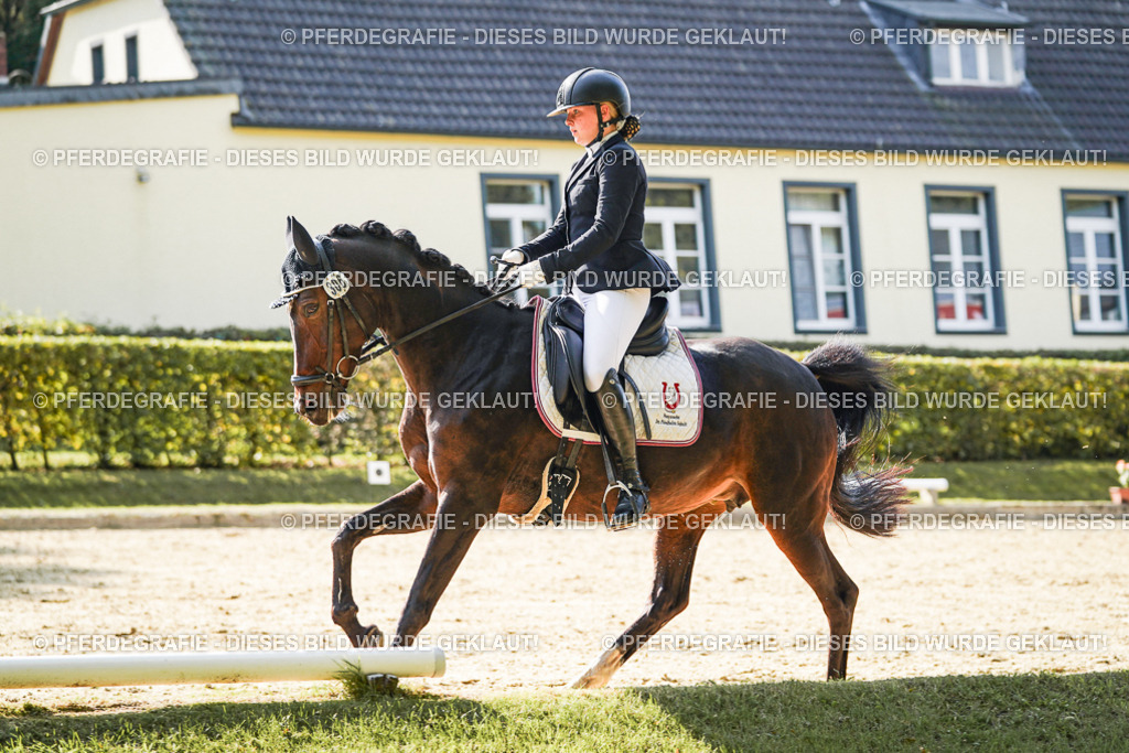 DSC07122 | Pferdegrafie