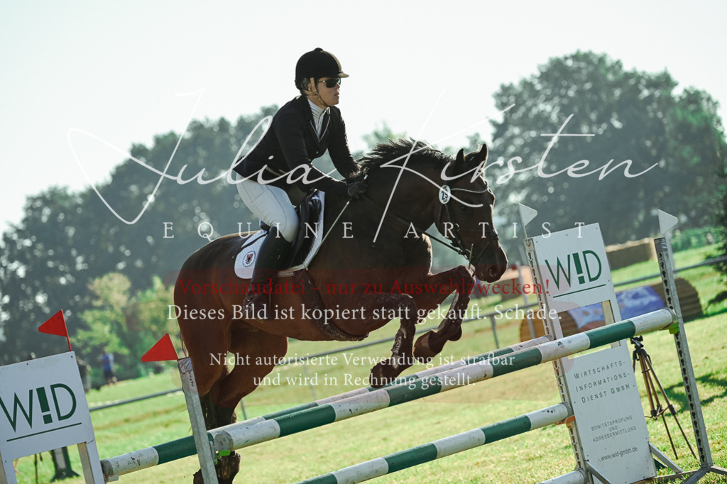 DSC_4371 | Pferde- und Turnierfotografie in Westsachsen. Pferdeportraits, Auftragszeichnungen und intuitive Kunst.