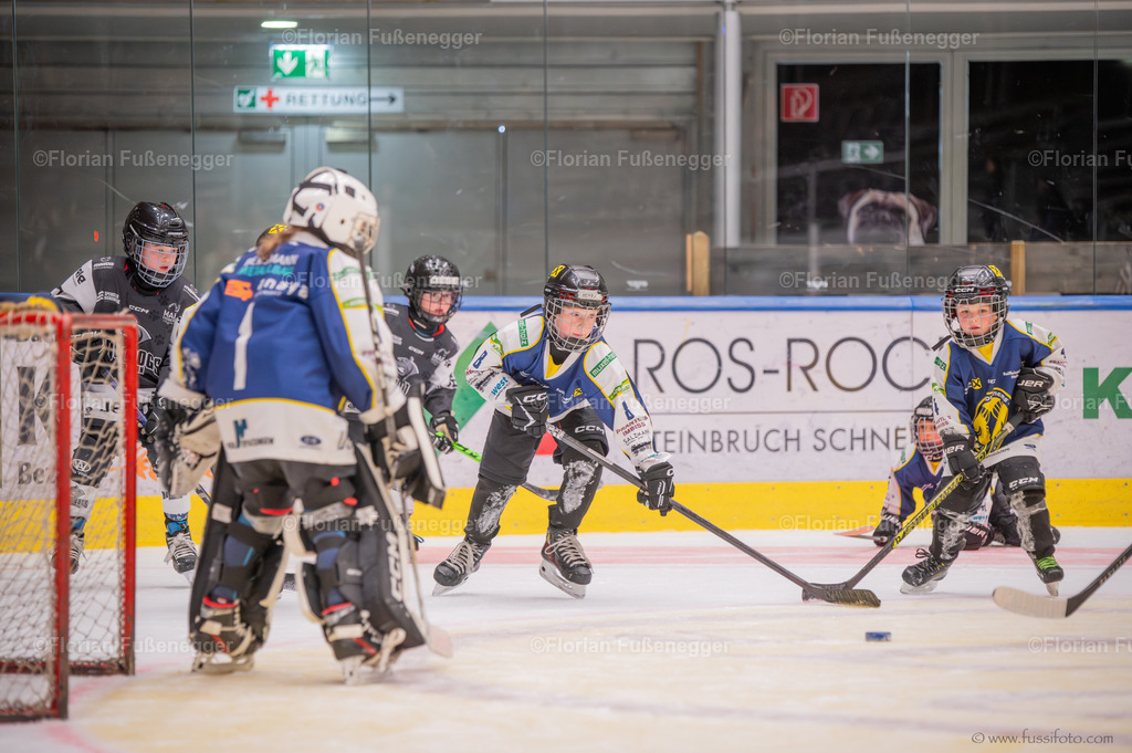 DSC_1534 | "Fussifoto.com – Ihr Ansprechpartner für hochwertige Fotografie! Entdecken Sie kreative Bilder und professionelle Dienstleistungen. Kontaktieren Sie uns für Ihre Projekte!"