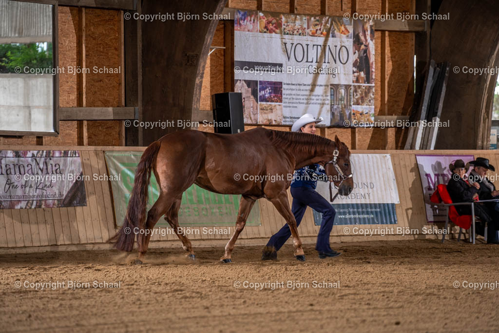 LMB08258 | BS-foto