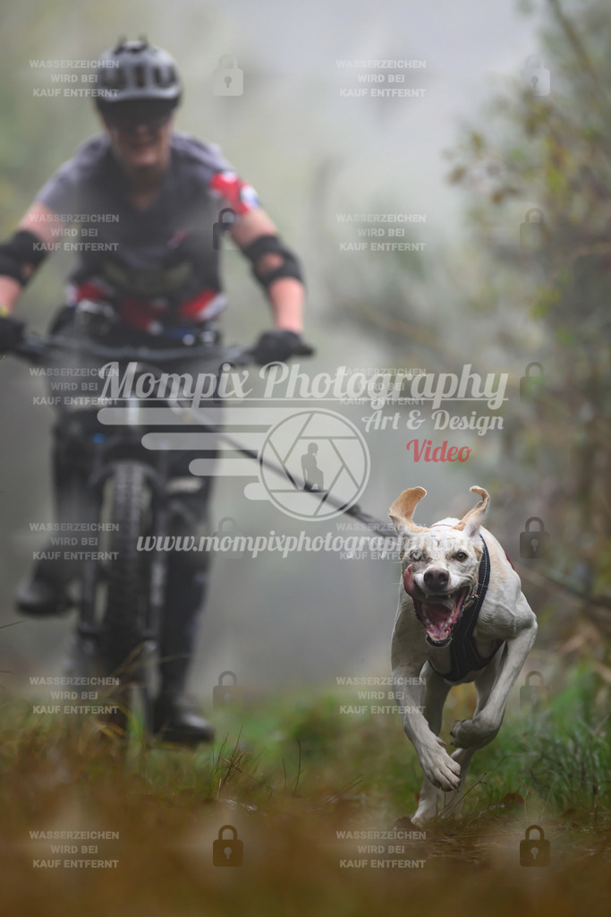 MompixPhotography_20TSB_E4_Bike-120 | PayLife