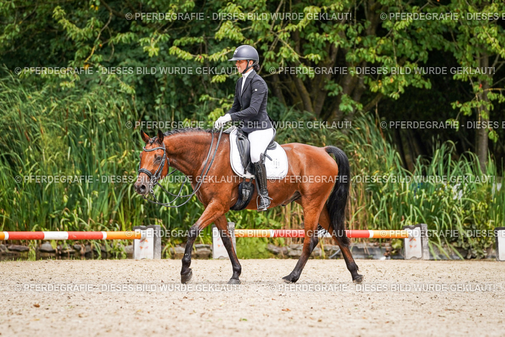 DSC03760 | Pferdegrafie