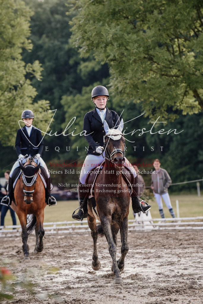 DSC_8149 | Pferde- und Turnierfotografie in Westsachsen. Pferdeportraits, Auftragszeichnungen und intuitive Kunst.