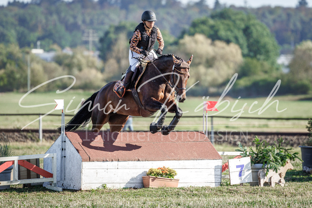 20260905-_3LI0599 | Tierfotografie Pferde, Hunde, Katzen, Haustiere.
Turnierfotografie Reitturniere, Reiten, Springreiten, Dressur in Hanau, dem Main-Kinzig-Kreis und dem Rhein-Main- Gebiet um Frankfurt