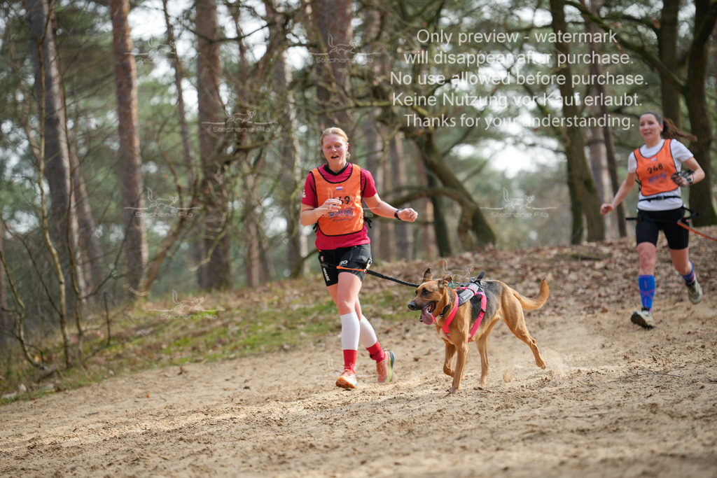 LangeCross-200 | stephaniefillaphotographie - Realisiert mit Pictrs.com