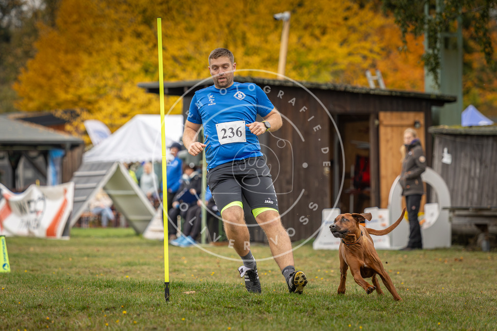 Pfotenfotografie_DV3A4909 | Hundefotografie, Tierfotograf, Pfotenfotografie, Fotoshooting Hund, Hunde Portrait, Hundesport, Hundeportraits, Heideshooting, Hunde, Sportfotograf, Hundefotograf, Turnierhundsport, THS,  - Realisiert mit Pictrs.com
