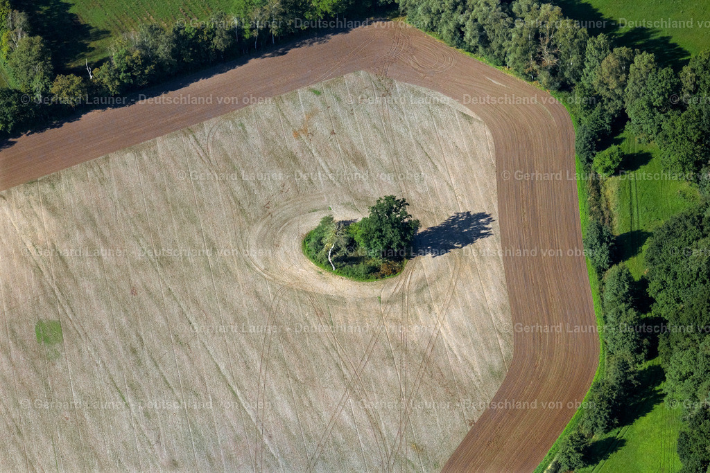 4061093 | RUBENOW 08.09.2021 Baum- Insel auf einem Feld in Rubenow im Bundesland Mecklenburg-Vorpommern, Deutschland. // Island of trees in a field in Rubenow in the state Mecklenburg - Western Pomerania, Germany. Foto: Gerhard Launer