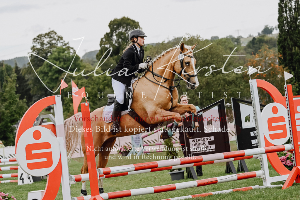 DSC_6895 | Pferde- und Turnierfotografie in Westsachsen. Pferdeportraits, Auftragszeichnungen und intuitive Kunst.