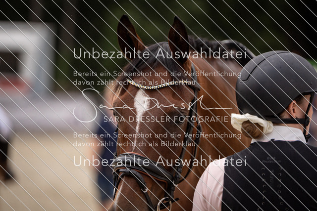 LR262_SD_02144 | saradresslerfotografie - Realisiert mit Pictrs.com