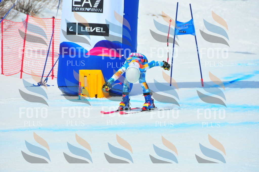 DSC_6637 | holidayphoto