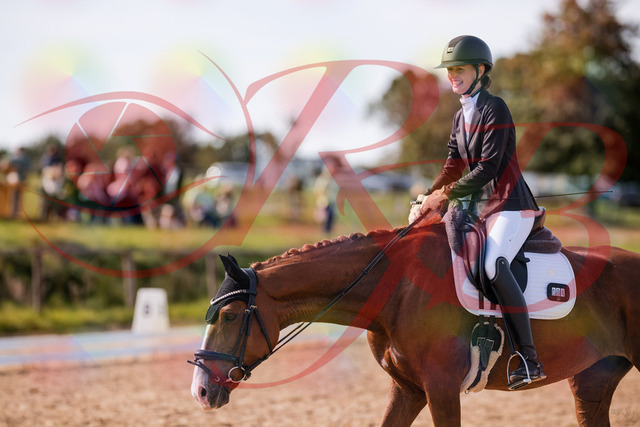 2026_10_03_Siefer-Hof_133324_Z81_92281369 | Professionelle Reitsport-, Turnier- und Eventfotografie von Robert Broda. Galerien mit ausgewählten und bearbeiteten Bildern direkt online ansehen und bestellen.