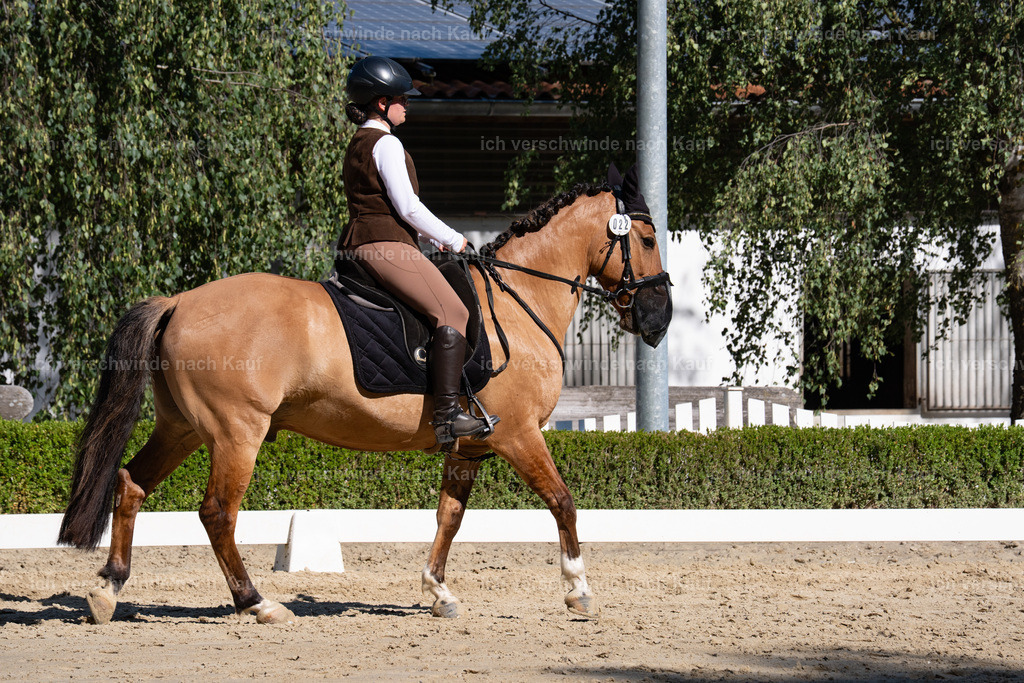 WA_DR_22_SinaFilmArt_IN01292 | working equitationturnier fotograf videograf stoibphotography marixx film working equitation deutschland reitsport turnierfotografie eventfotografie equestrian events