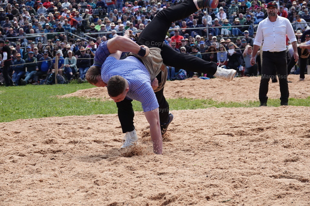 DSC00981 | Schwingen - Realisiert mit Pictrs.com