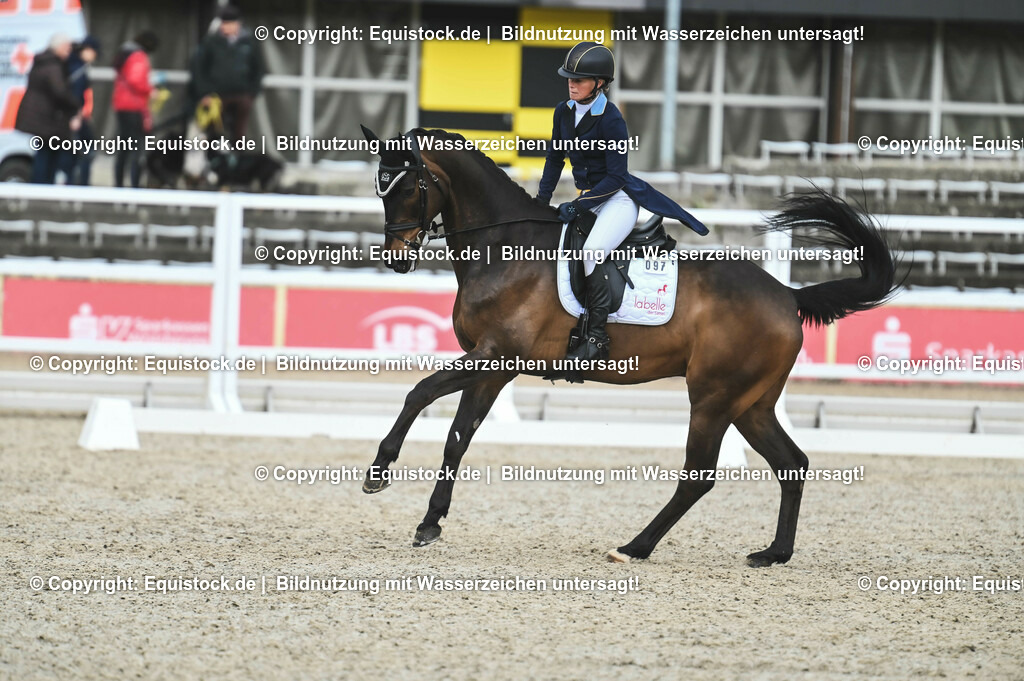 20230512_CCI4_Dressur_0409 | equistock