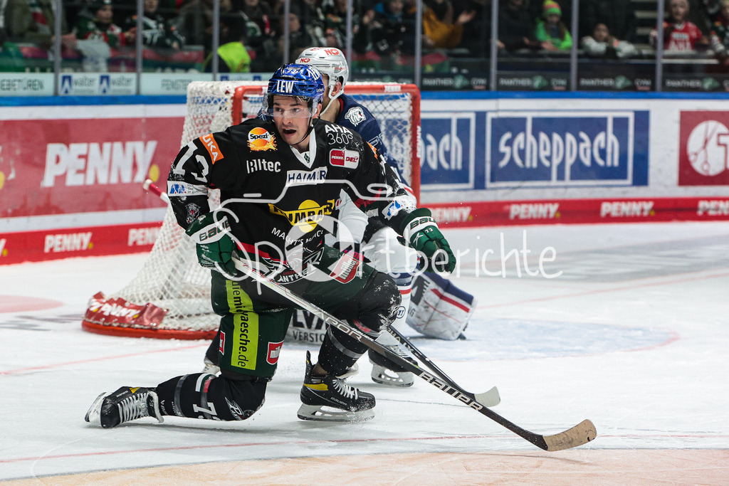 Augsburger Panther - Nürnberg ICE Tigers | Matthew PUEMPEL (AEV #73) in Aktion