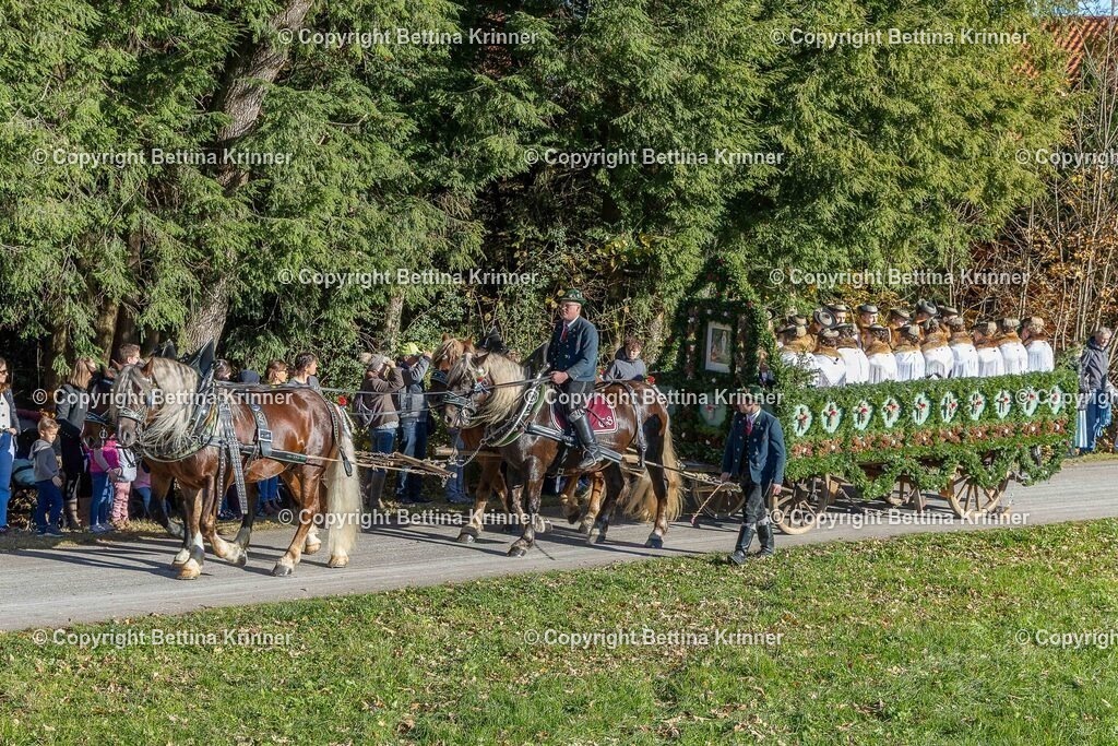 LBT25-341 | foto-bettina-krinner - Realisiert mit Pictrs.com