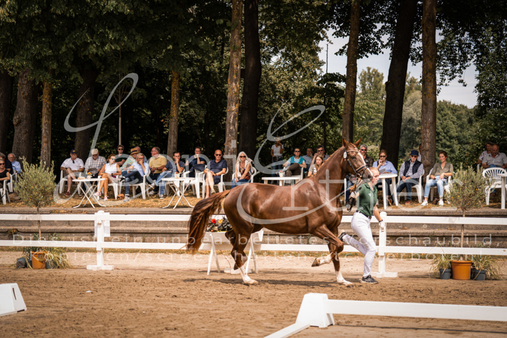 3.Fr00065 | Leoni Ertmer Photography - Realisiert mit Pictrs.com