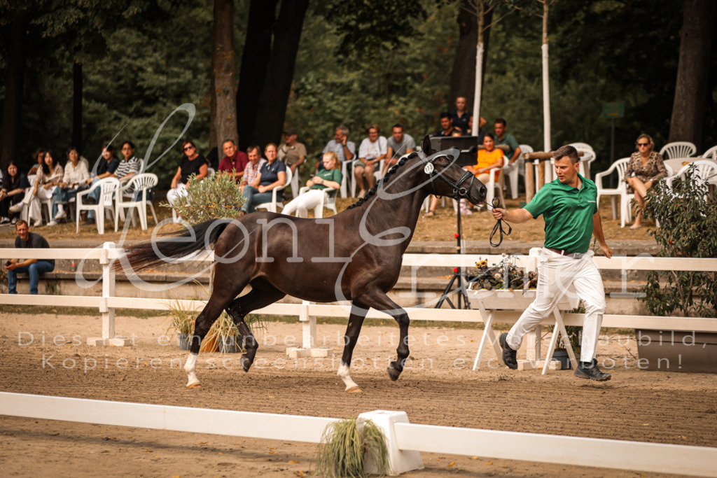 12.So00005 | Leoni Ertmer Photography - Realisiert mit Pictrs.com