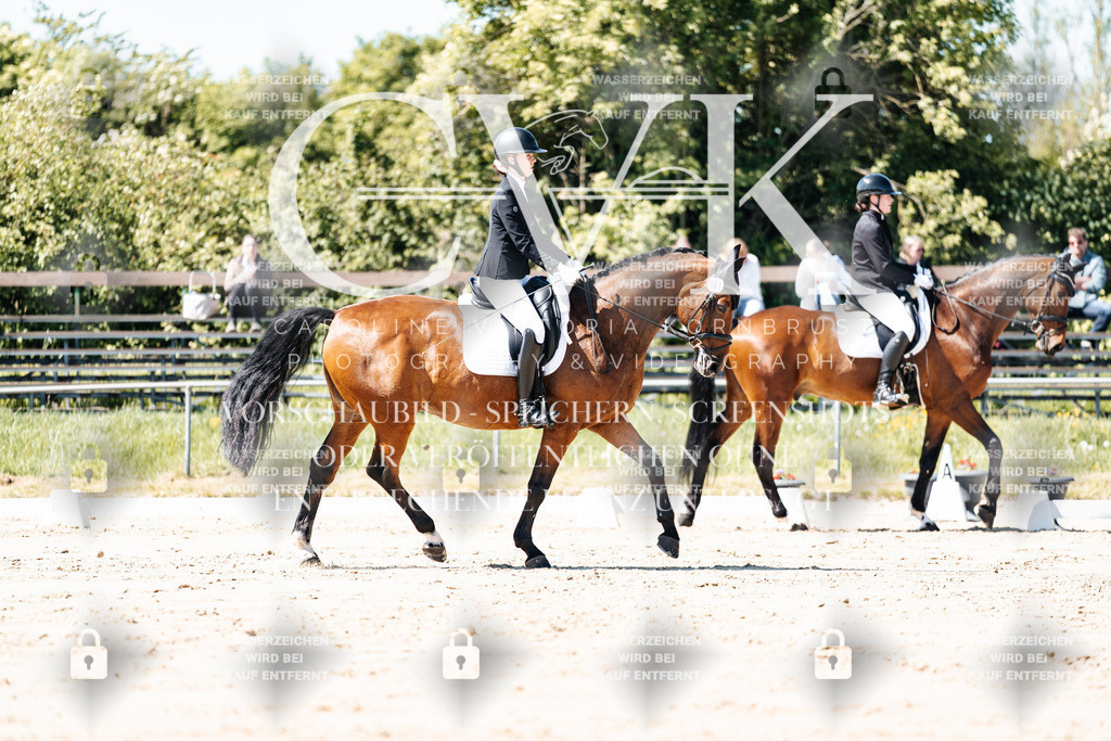 CK905246 | Turnierfotografie Pferdefotografie Trier Rheinland-Pfalz Pferdesport Reitsport Tierfotografie Sportfotografie Pferdevideo Pferdevideografie Equestrianvideography equestrianphotography  - Realisiert mit Pictrs.com
