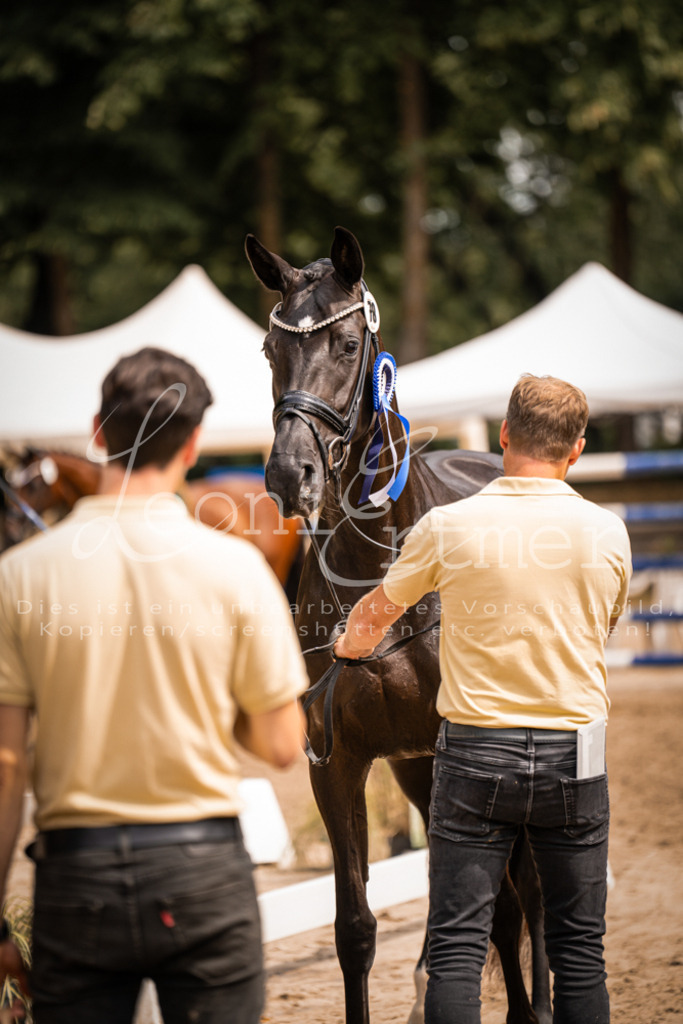 4.Fr00217 | Leoni Ertmer Photography - Realisiert mit Pictrs.com