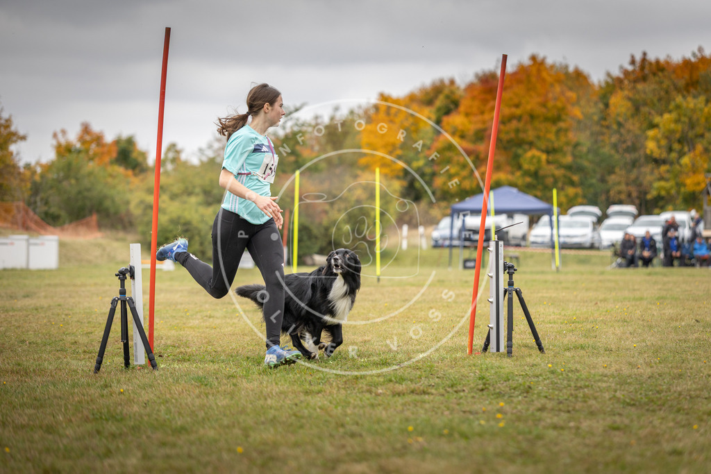 Pfotenfotografie_DV3A5112 | Hundefotografie, Tierfotograf, Pfotenfotografie, Fotoshooting Hund, Hunde Portrait, Hundesport, Hundeportraits, Heideshooting, Hunde, Sportfotograf, Hundefotograf, Turnierhundsport, THS,  - Realisiert mit Pictrs.com