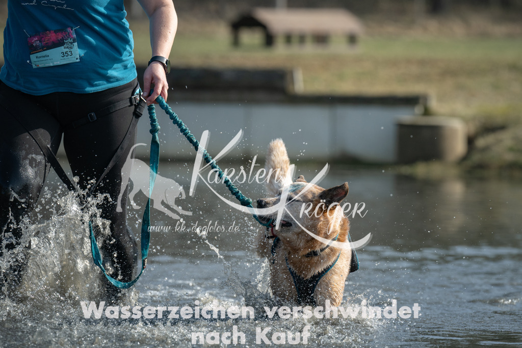 1300_ZZ93760 | kk-dogfotos